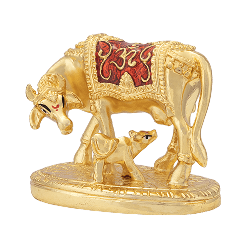 om cow